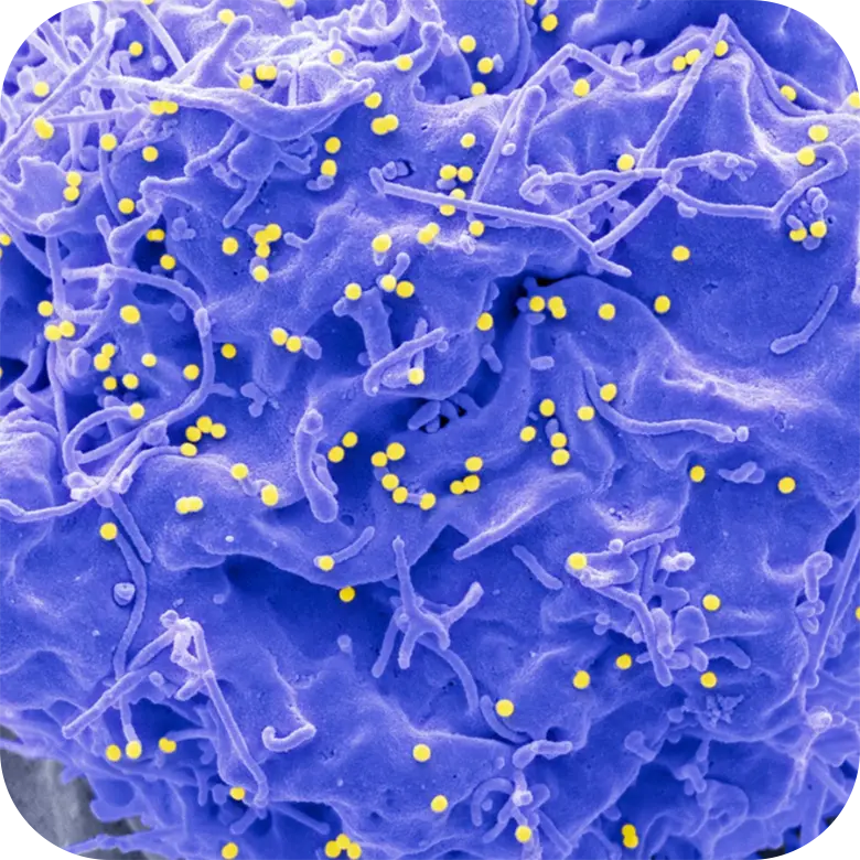 A microscopic illustration of exosomes, the vesicles used in regenerative skin treatments